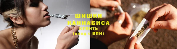 СК Семилуки