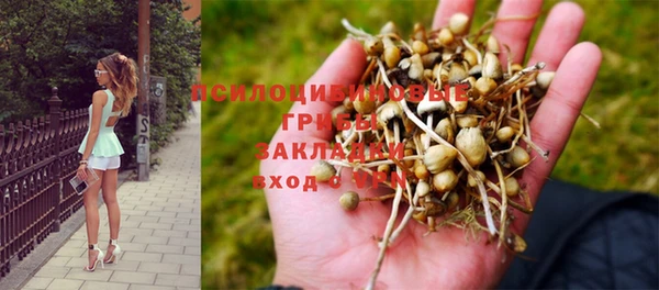 не бодяженный Баксан