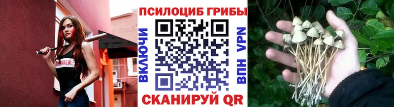Псилоцибиновые грибы Magic Shrooms  блэк спрут   Гуково 