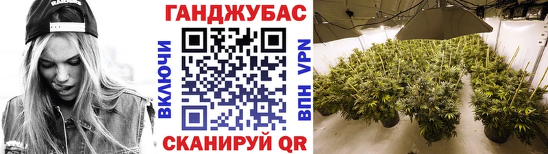 Каннабис марихуана Гуково